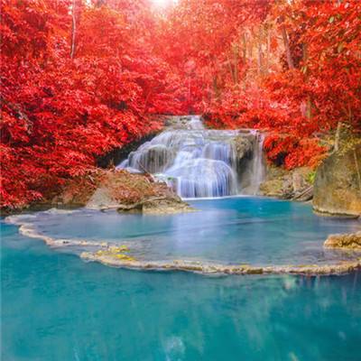 半岛官方网站入口下载